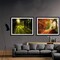 Paint by Numbers Kit for Adults Beginners 2 Pack Paint by Numbers for Adults Rolled up Canvas for Home Decoration Creative Wall Art with Colorful Gift Box 12x16 inch Forest Sunrise 175-176